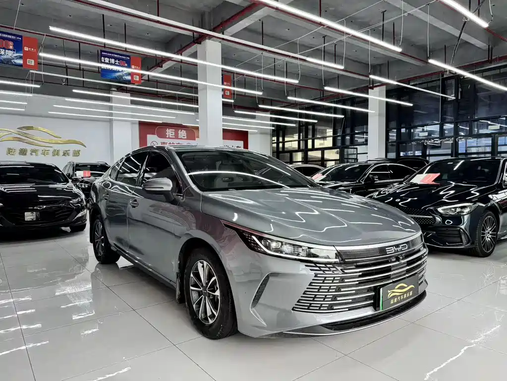 BYD Destroyer 05 2024 DM-i 55KM Luxury