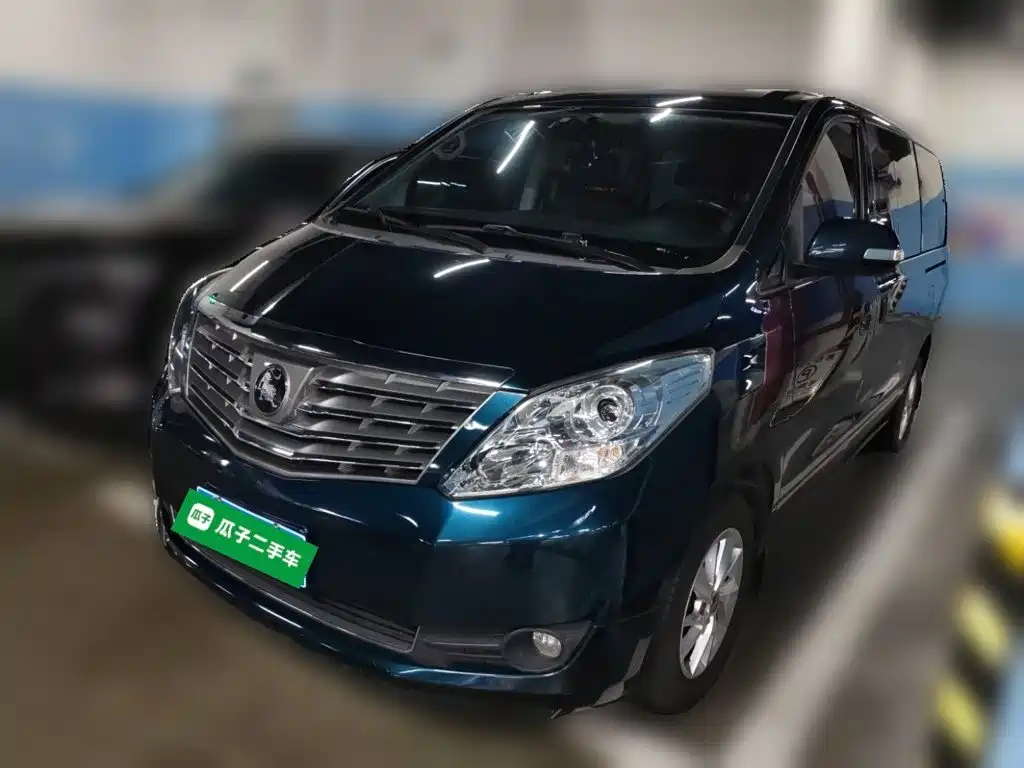 Fengxing Lingzhi PLUS