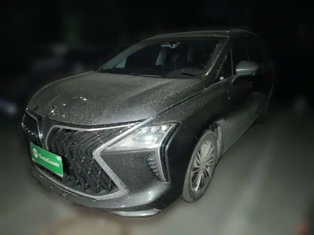 Dongfeng Forthing Forthing Yacht