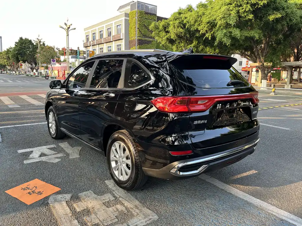 HAVAL M6