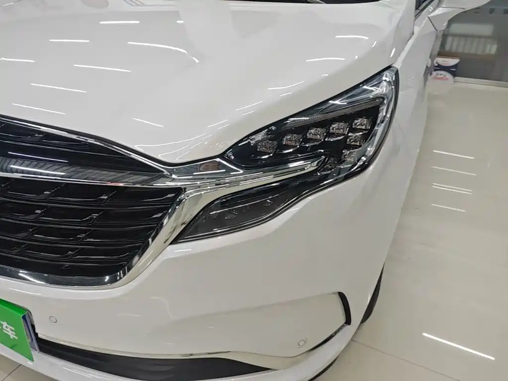 Buick GL8 — миниатюра 24