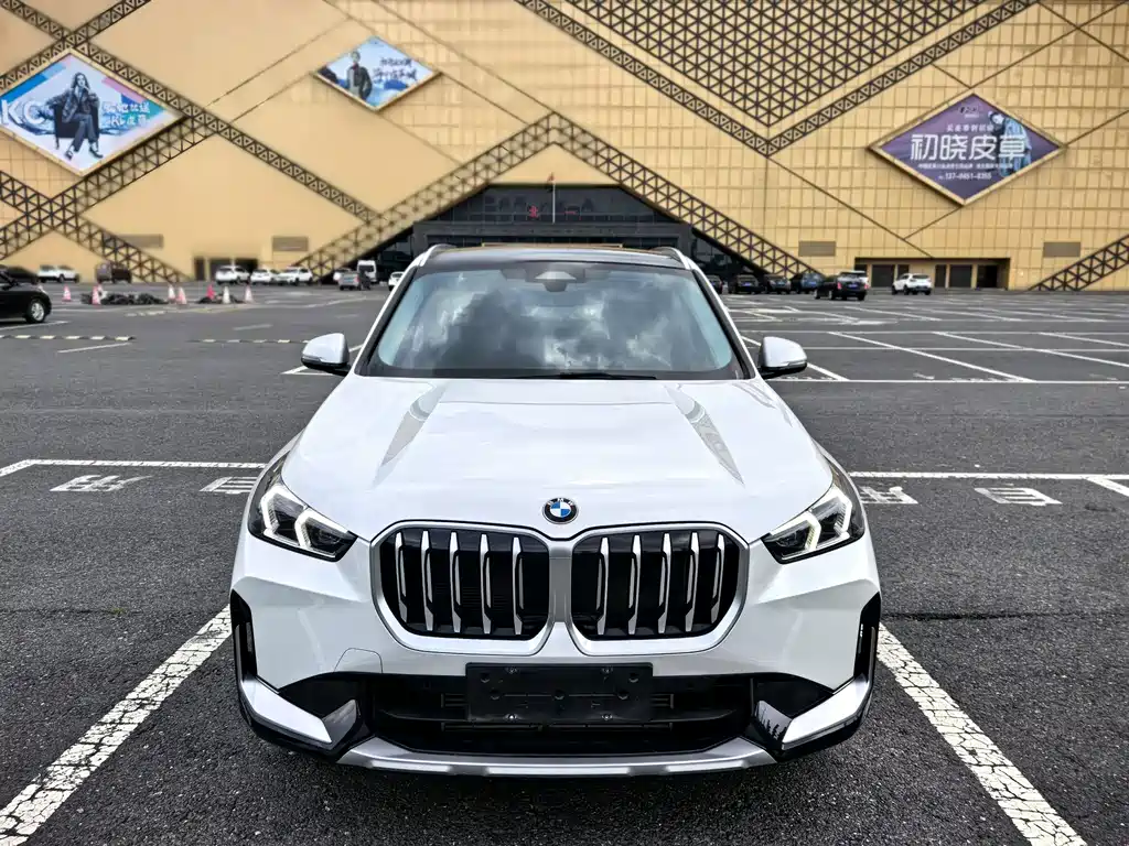 BMW X1 sDrive20Li X Design Package, фото 3