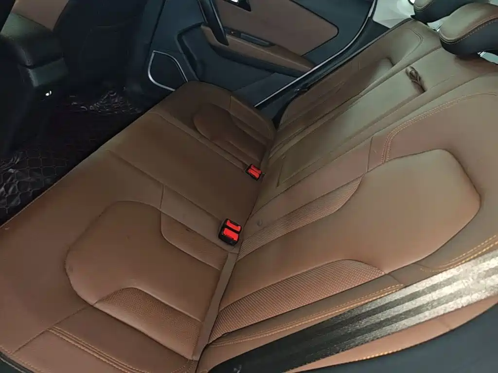 FAW Senya R7 — миниатюра 17
