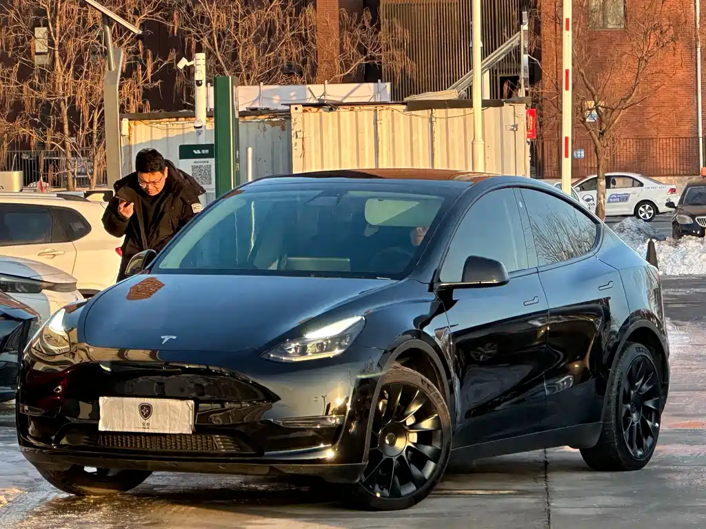 TESLA MODEL Y