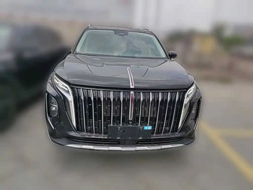 Hongqi Hongqi HS7 PHEV — миниатюра 5