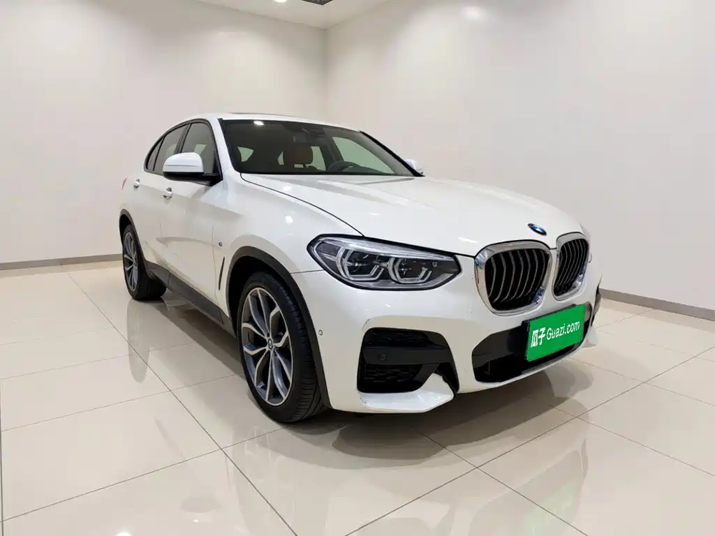 BMW X4 — миниатюра 3