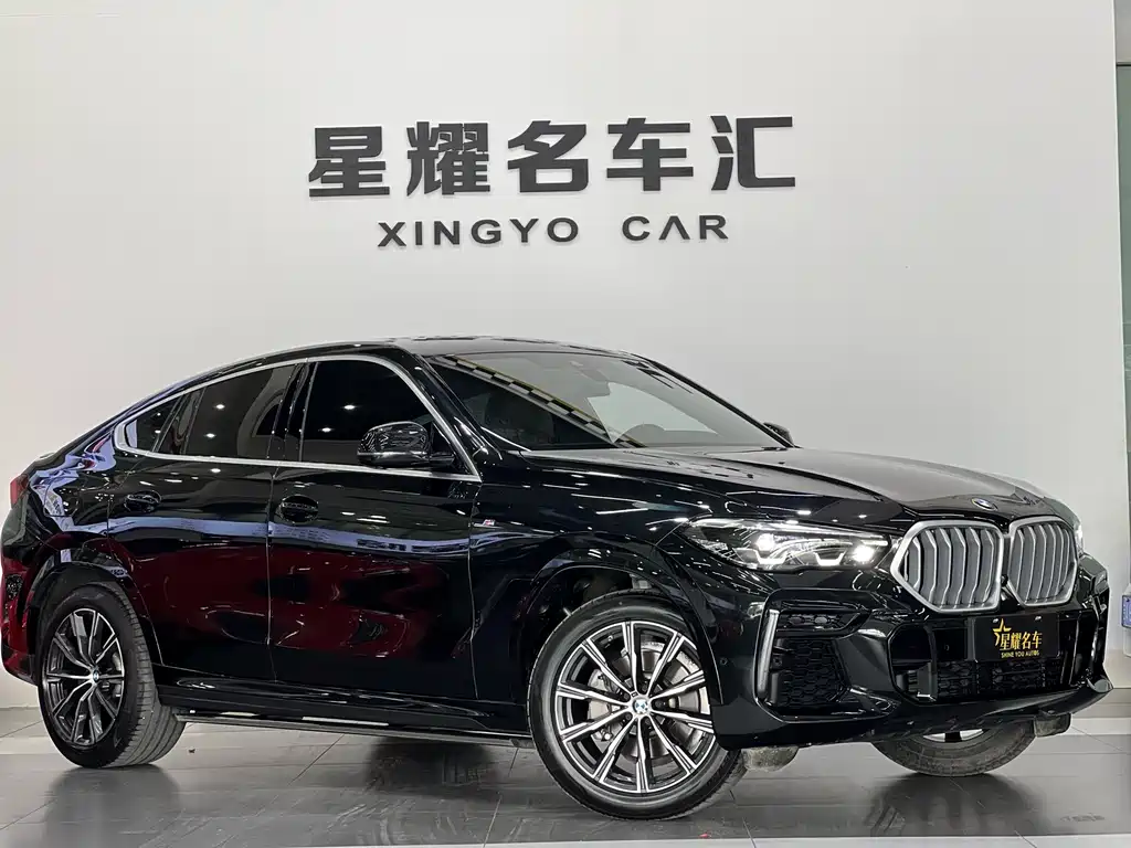 BMW X6