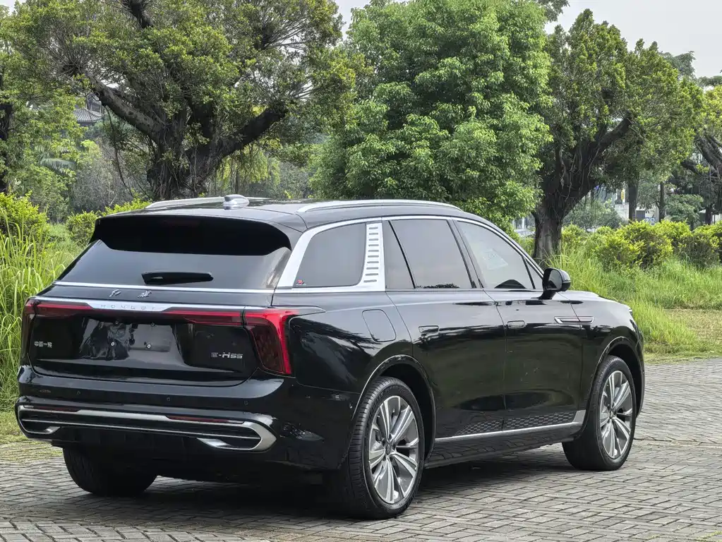 Hongqi Hongqi E-HS9 — миниатюра 7