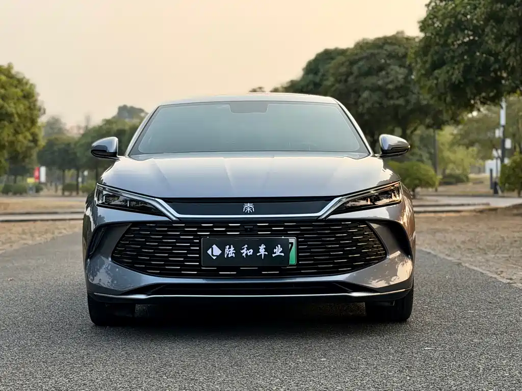 BYD QIN L