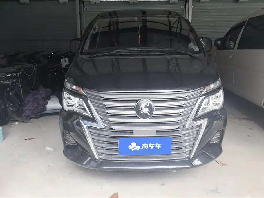 Купить Fengxing Lingzhi