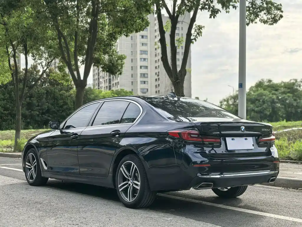 BMW 5 Series 5 2021 530Li Lead Luxury