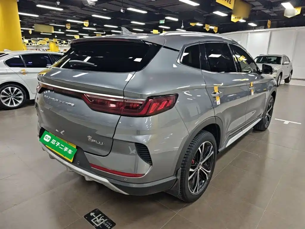 BYD PLUS — миниатюра 7