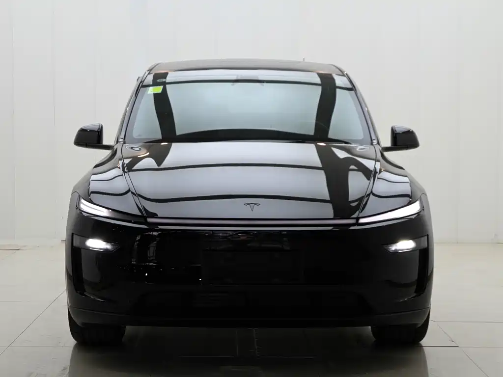 Tesla Model Y L — миниатюра 2