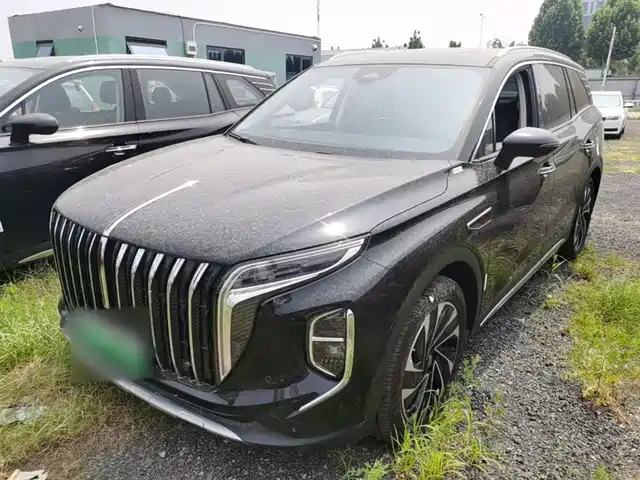 2024 Hongqi HS7
