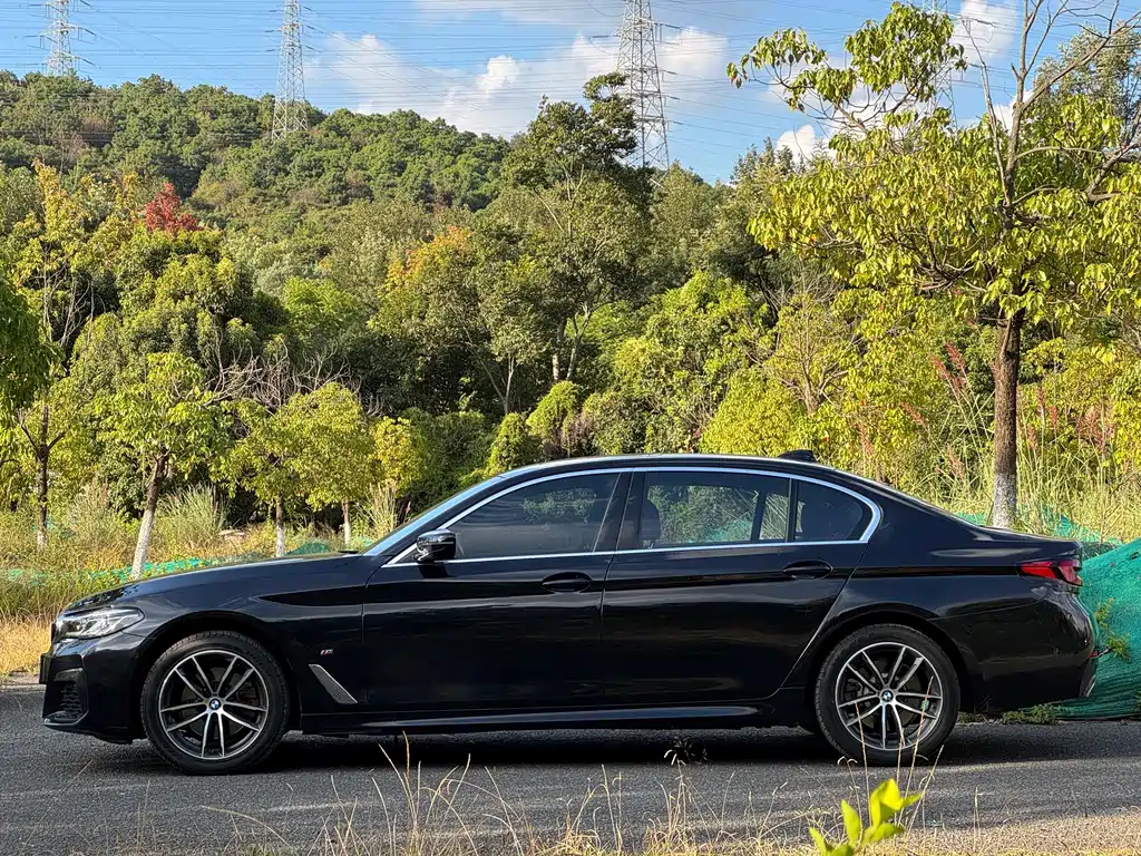BMW 5 Series — миниатюра 3