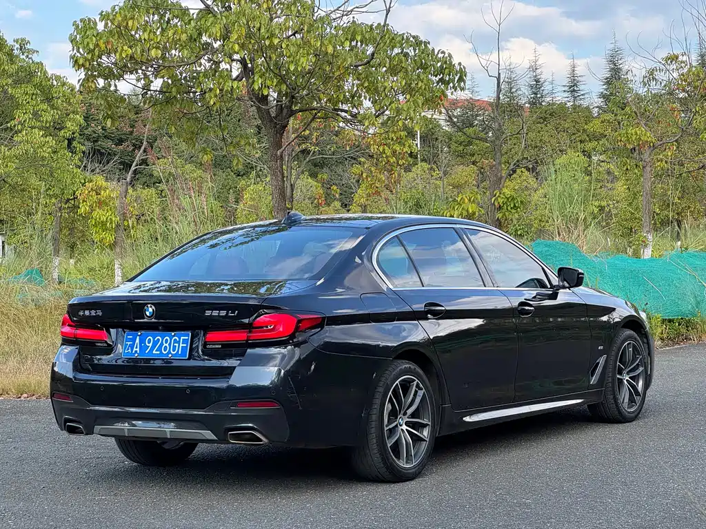 BMW 5 Series — миниатюра 5