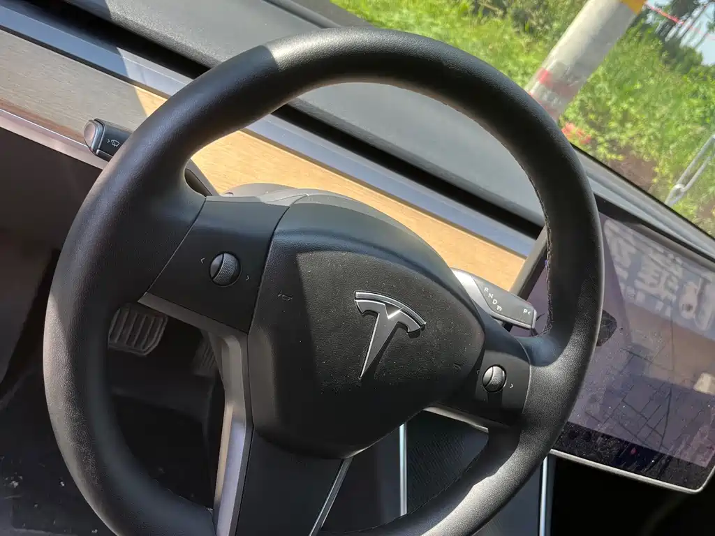Tesla Model 3 — миниатюра 10