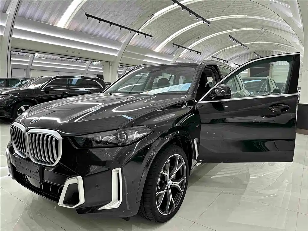 BMW X5 — миниатюра 5