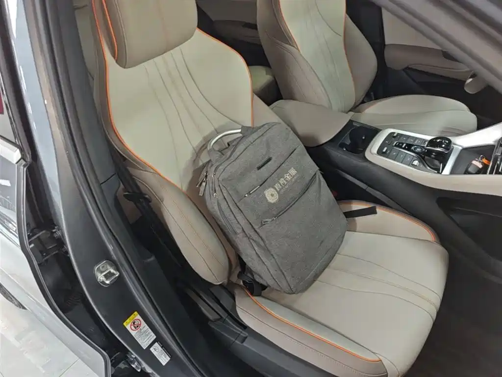 BYD Pro New Energy - фото 20