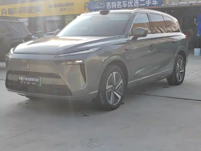 WEI PAI WEI BRAND BLUE MOUNTAIN 2024