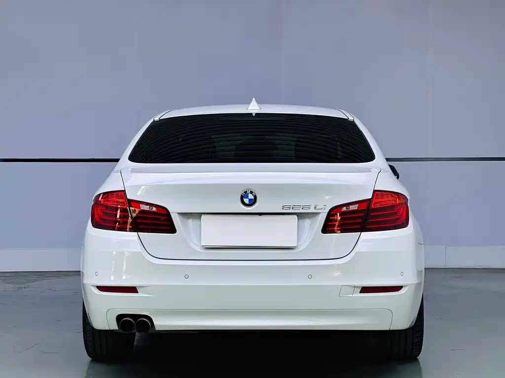 BMW 5 Series 5 2017 525Li Lead