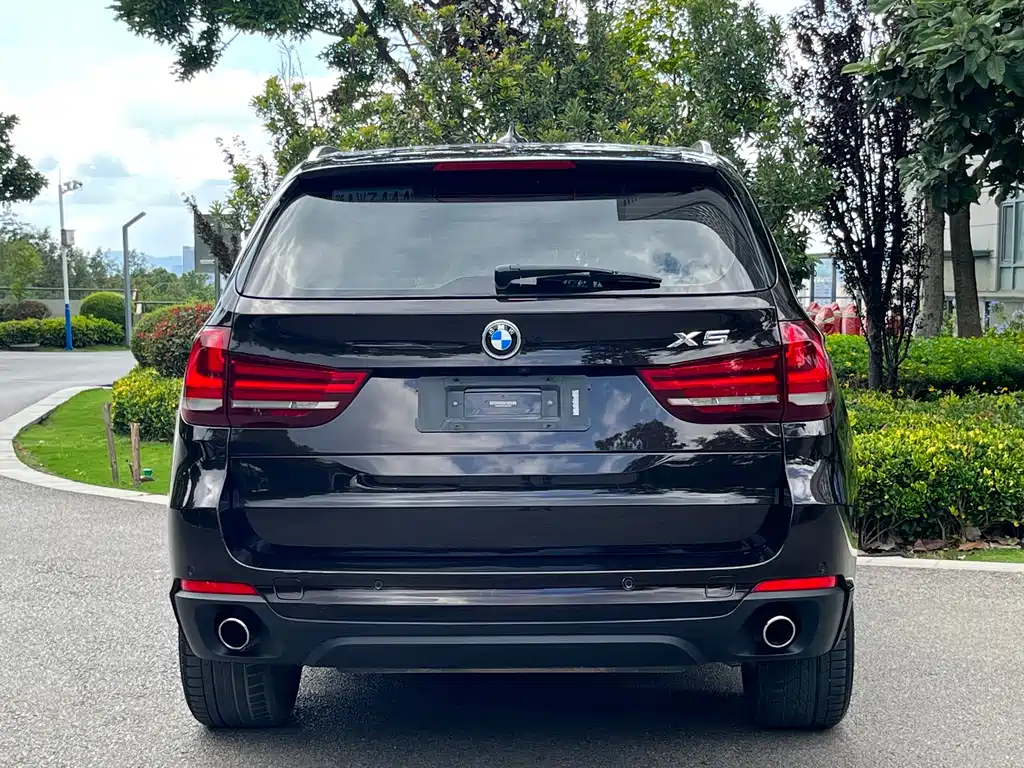 BMW X5 2014 xDrive35i Lead