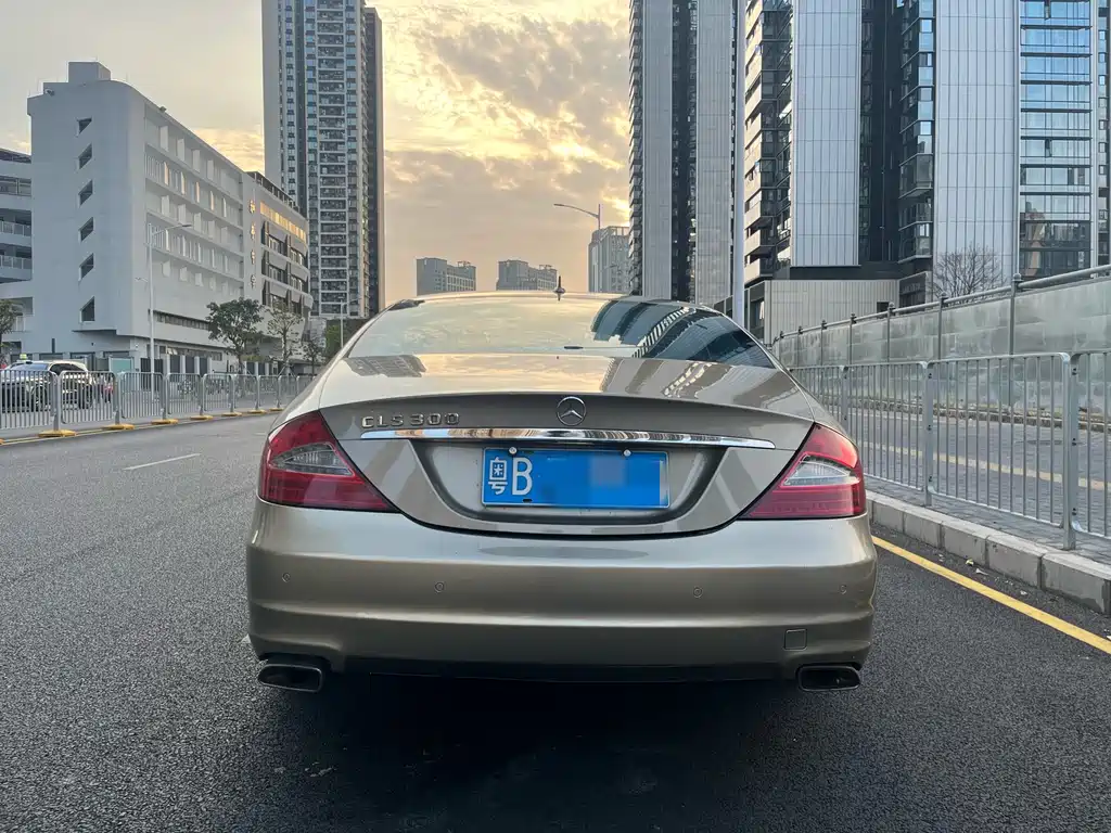 Mercedes-Benz CLS 2009 CLS 300