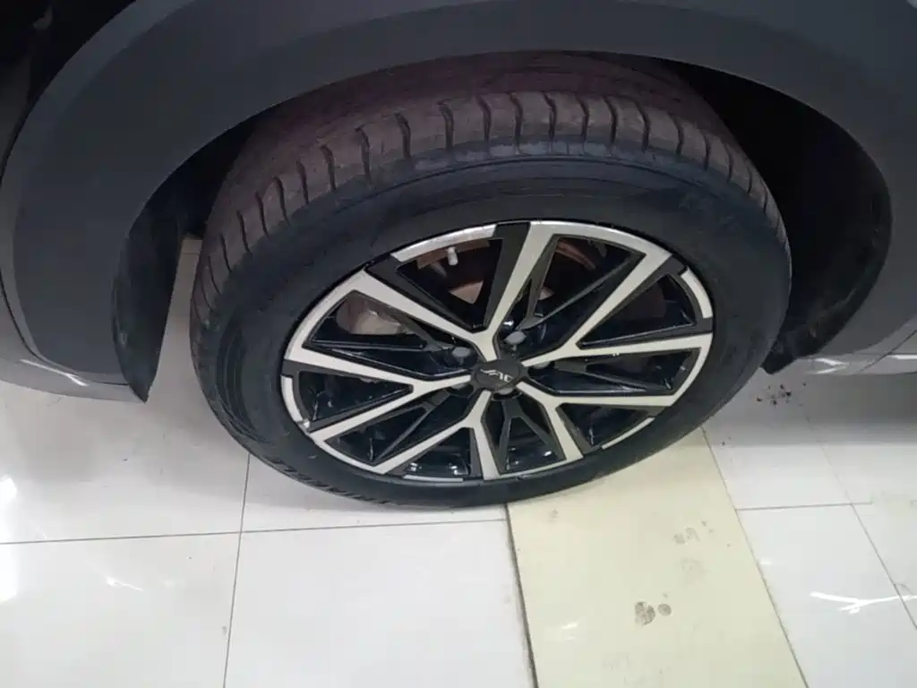 JAC JAC X8 PLUS — миниатюра 23