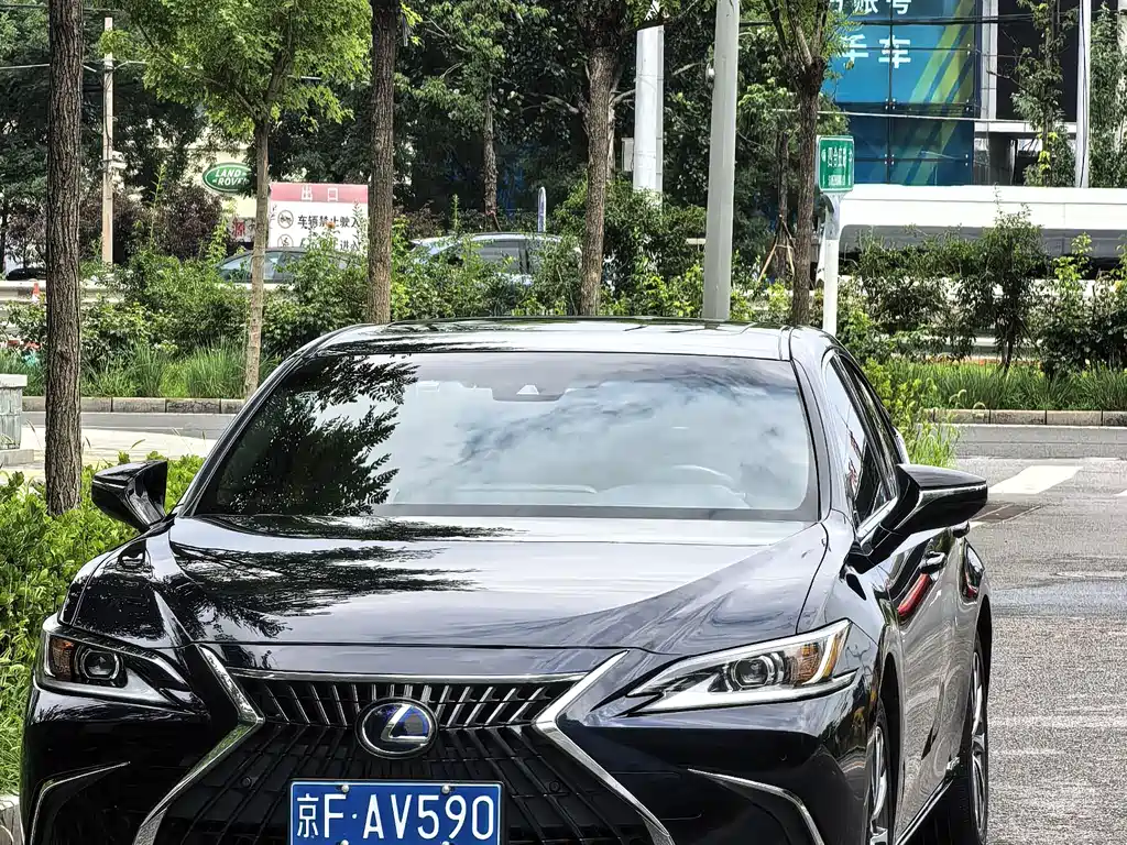 Lexus ES 300h Excellence Edition, фото 10