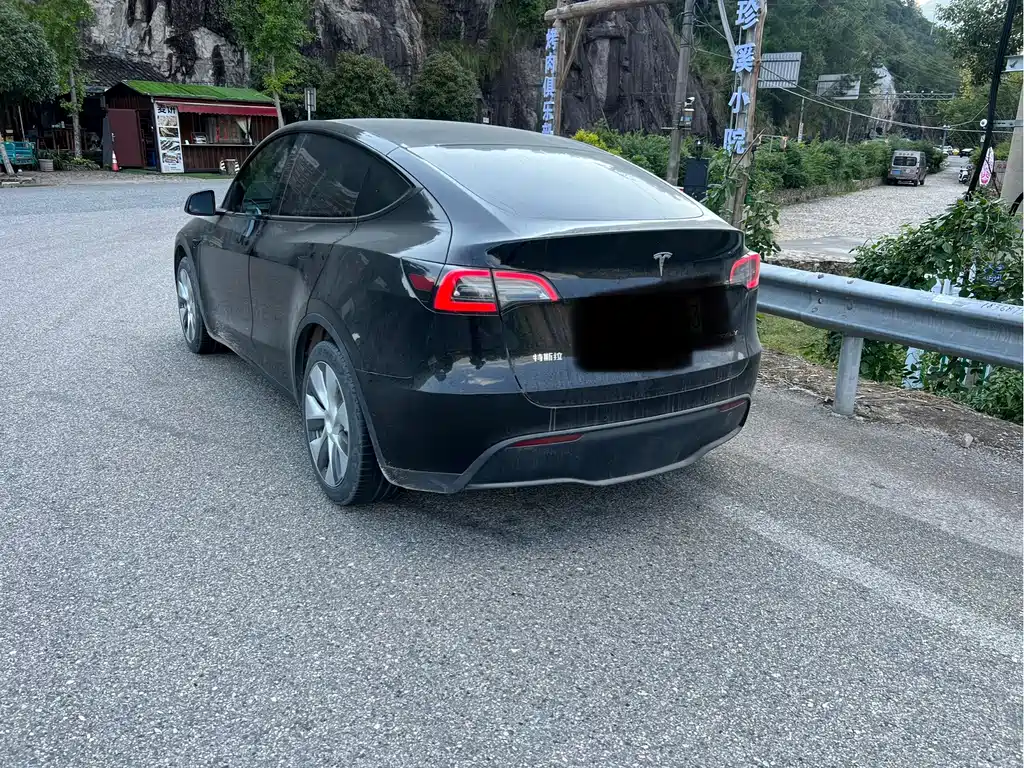 Tesla Model Y — миниатюра 6