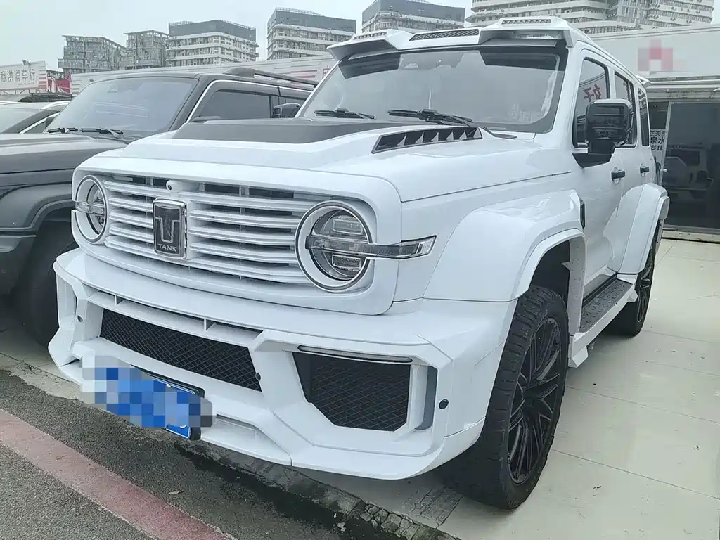 Tank 300