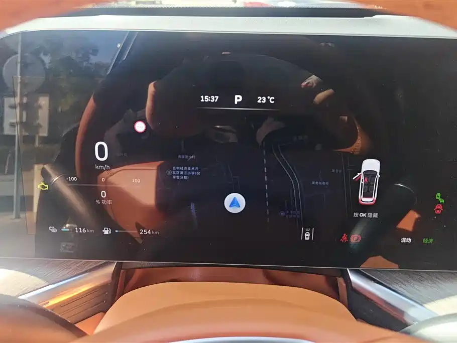 WEI PAI WEI BRAND BLUE MOUNTAIN