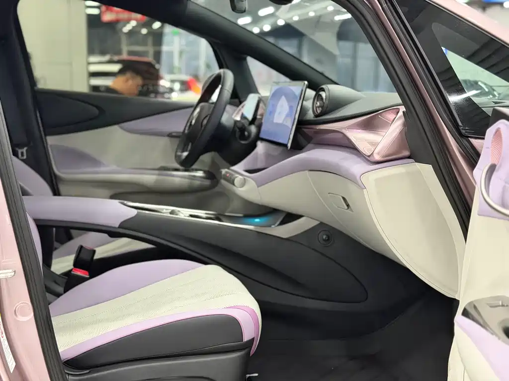 BYD Dolphin 2024 420km Fashion