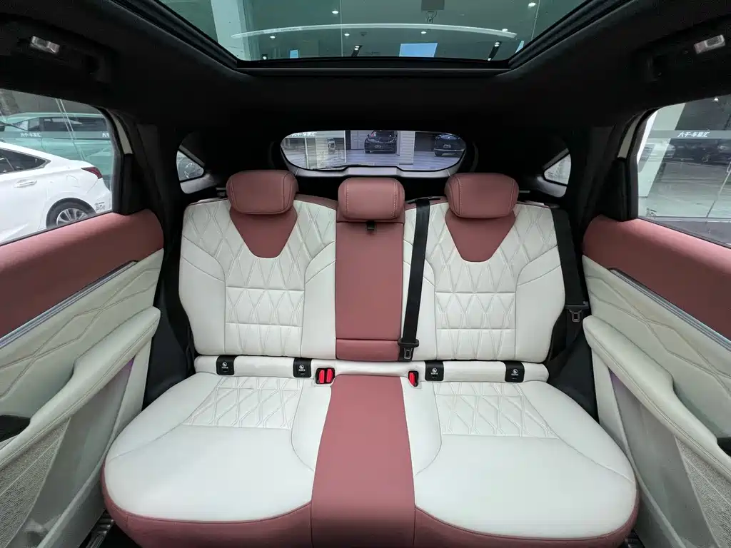 Haval Shenshou — миниатюра 21