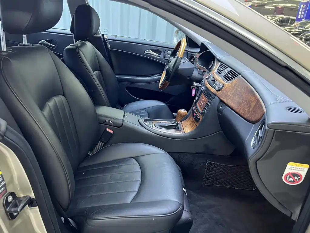Mercedes-Benz CLS CLS 300, фото 10
