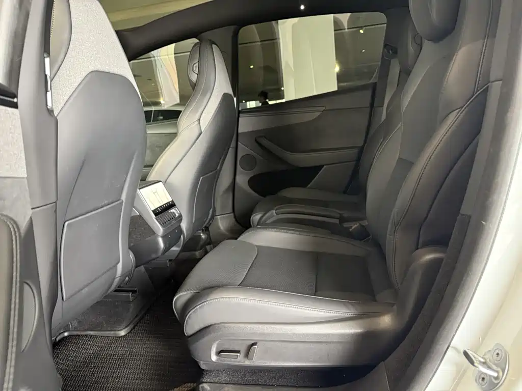 Tesla Model Y L — миниатюра 6