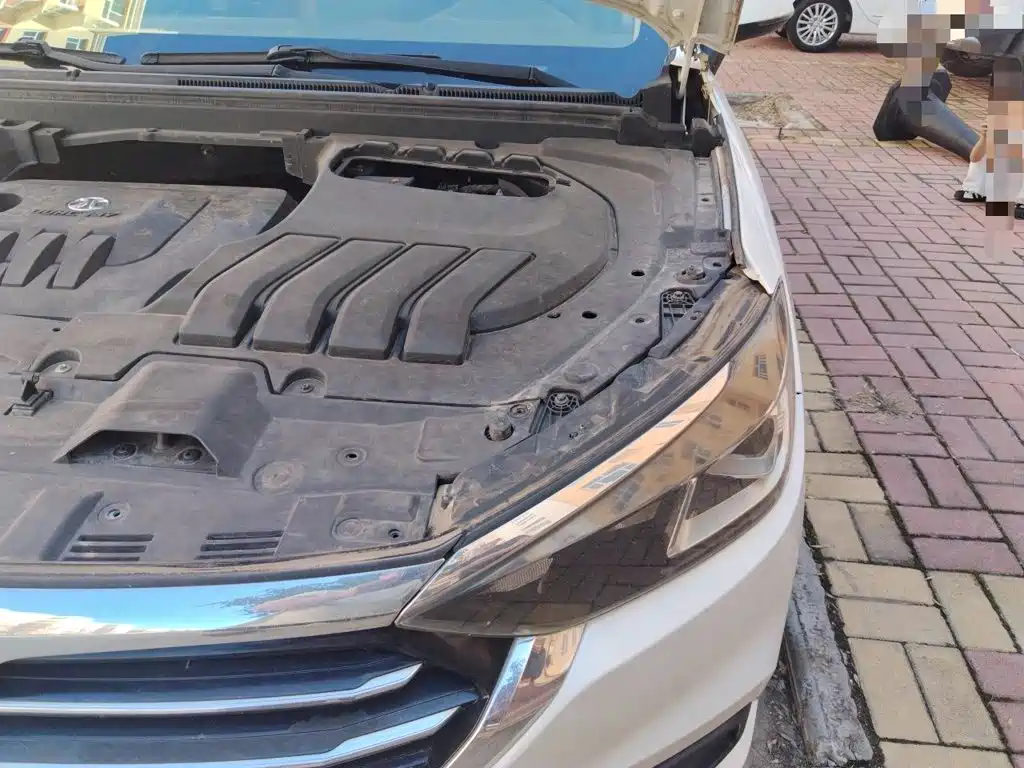 BAIC Senova D50 — миниатюра 21
