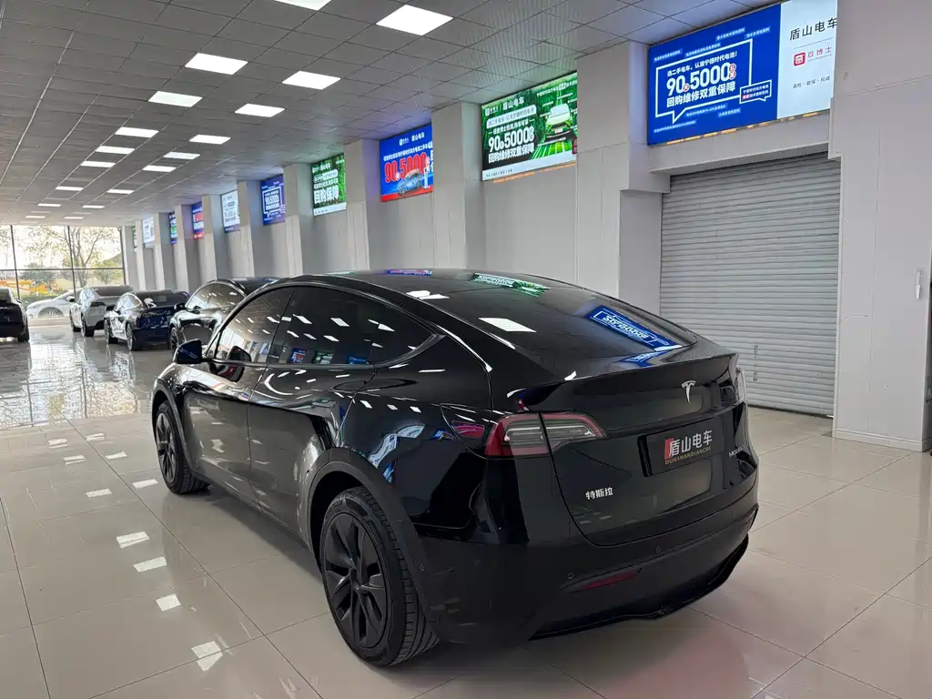 Tesla Model Y — миниатюра 4