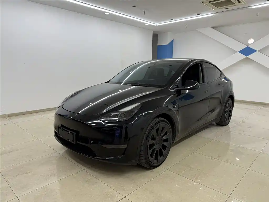 Tesla Model Y 2021 Standard Range RWD Edition