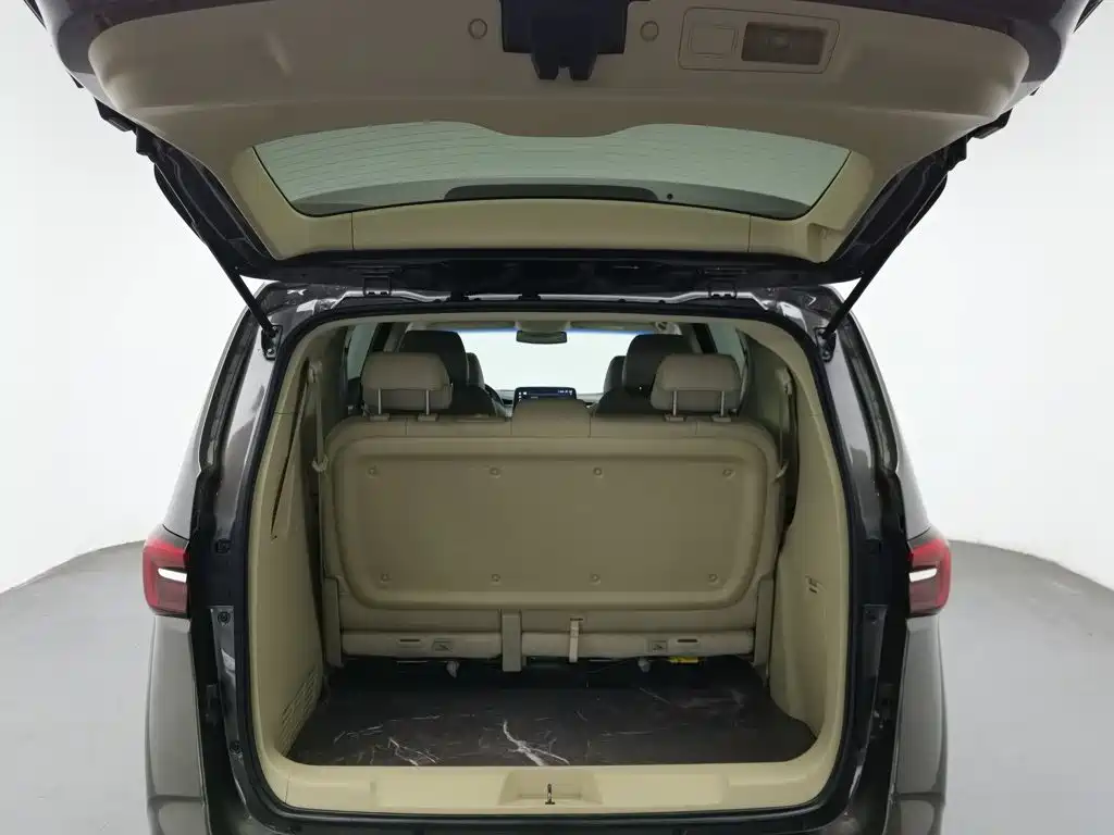 Buick GL8 — миниатюра 16