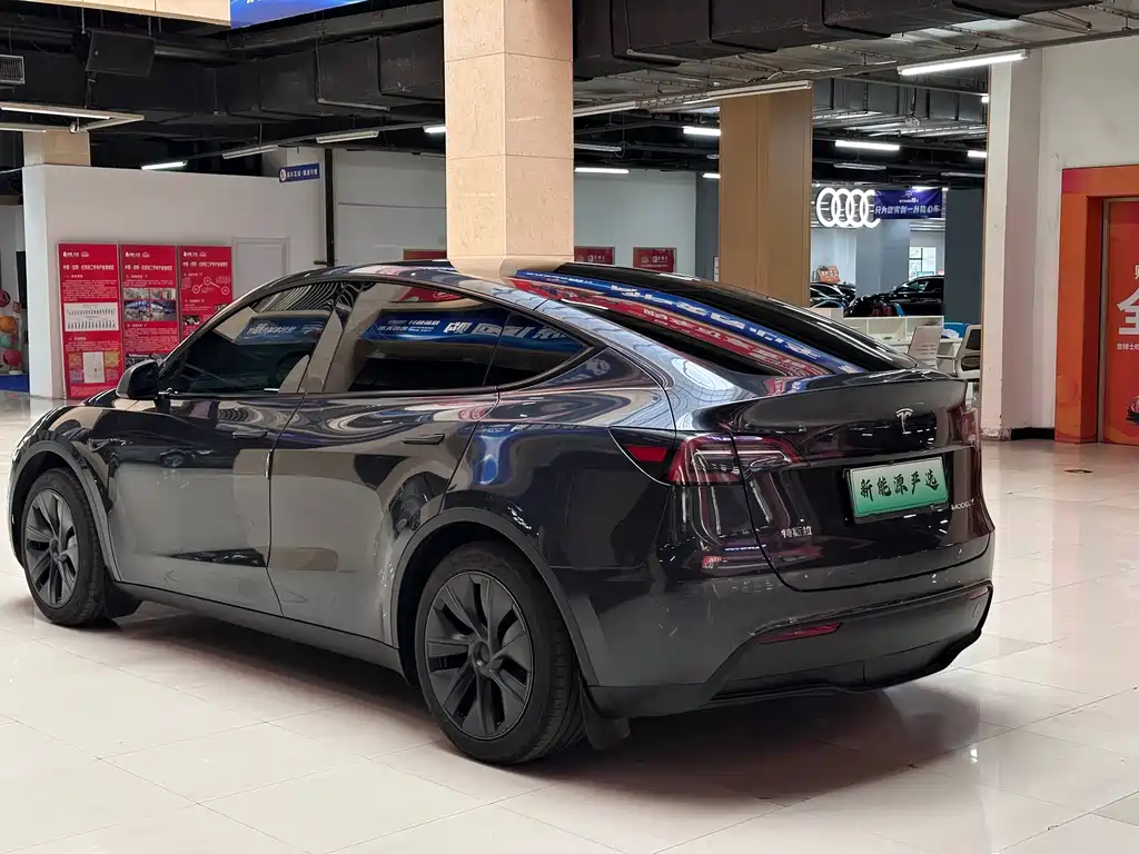 Tesla Model Y — миниатюра 6