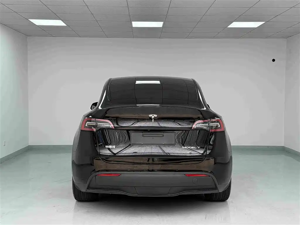 Tesla Model Y — миниатюра 20