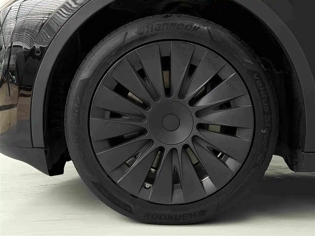 Tesla Model Y — миниатюра 18
