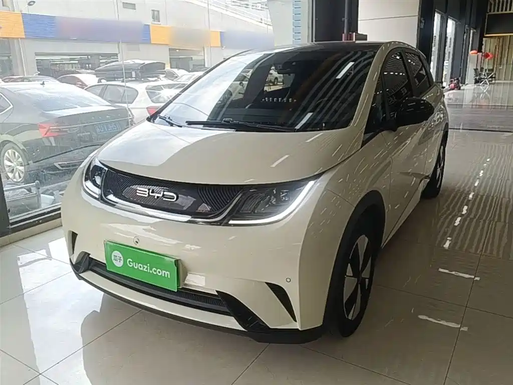 Byd Dolphin 2024