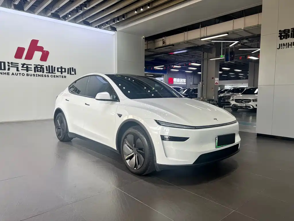 Tesla Model Y — миниатюра 2