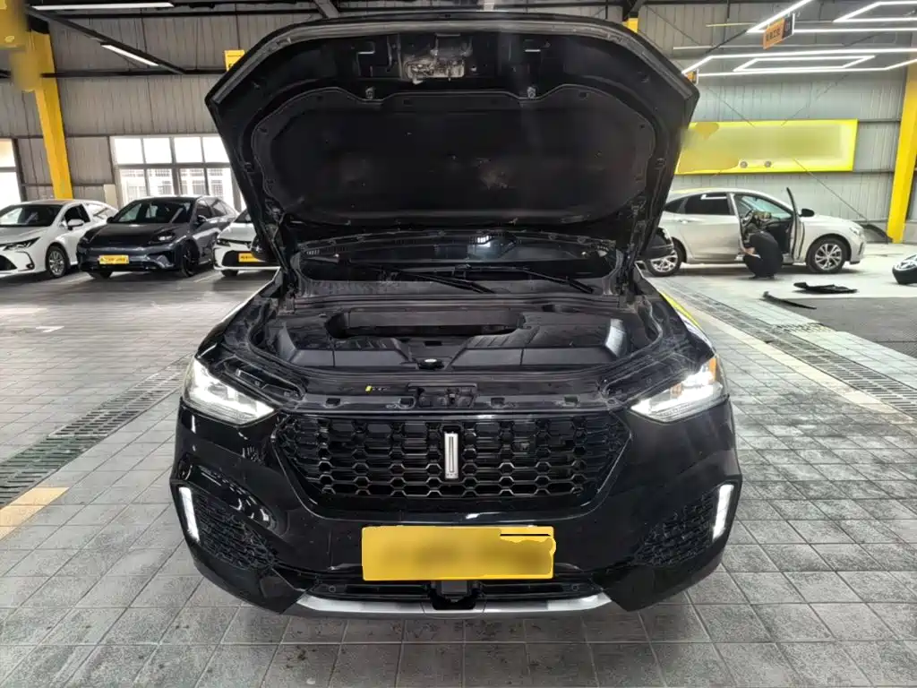 Wey Wey VV6 — миниатюра 20