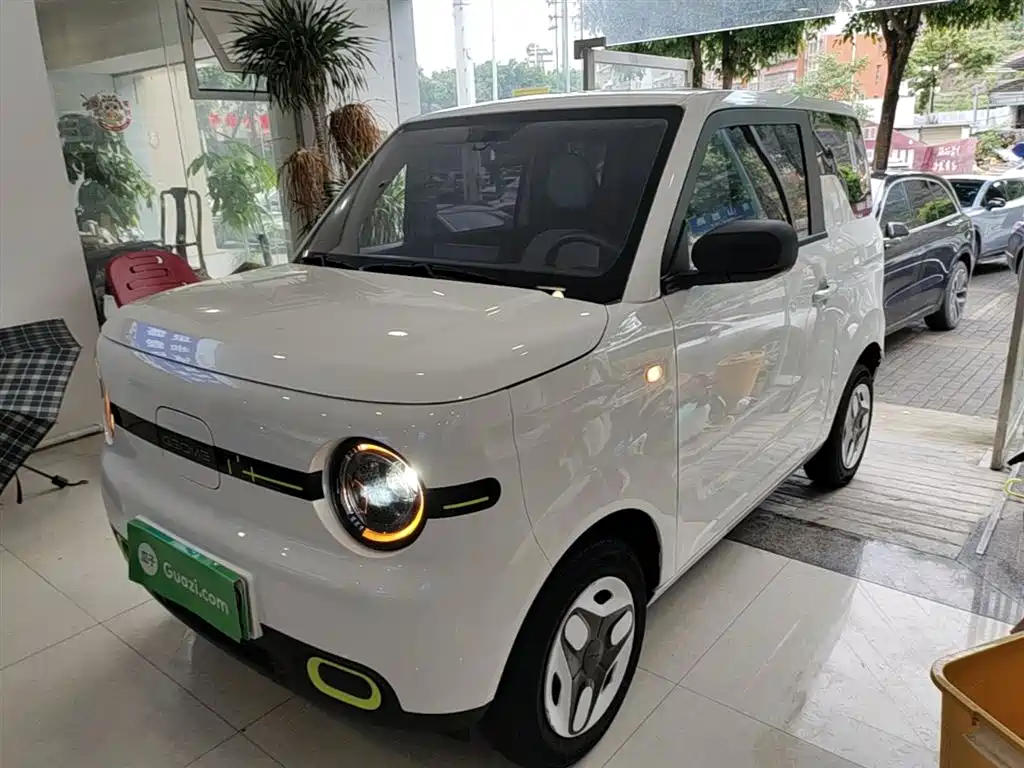 Galaxy Panda 2025