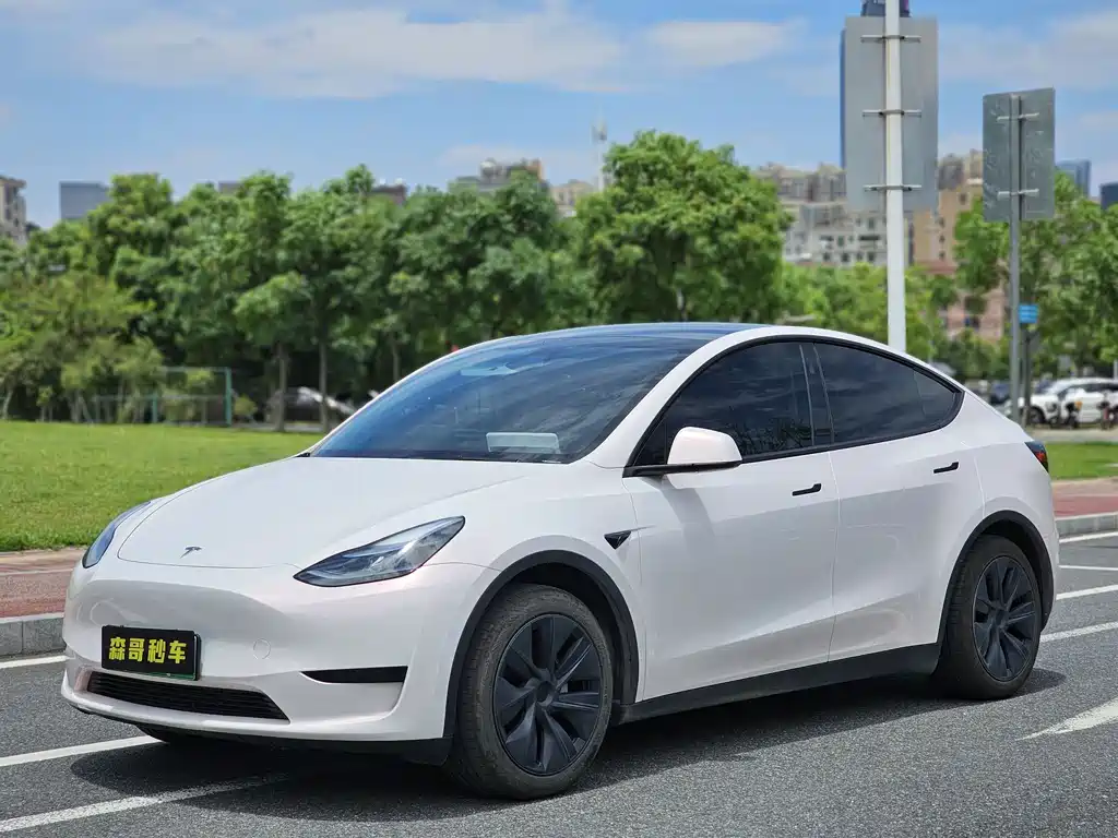 Tesla Model Y 2024