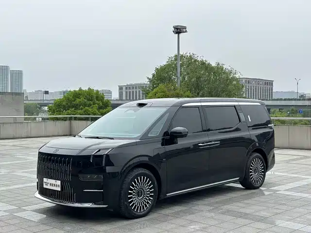 2025 Zeekr 009