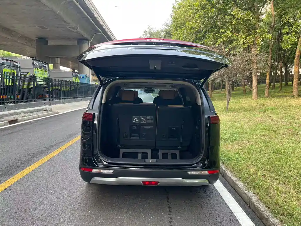 Kia Carnival — миниатюра 18
